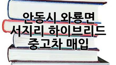 안동시 와룡면 서지리 하이브리드 중고차 매입