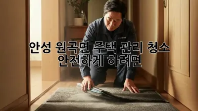 안성 원곡면 주택 관리 청소, 안전하게 하려면?
